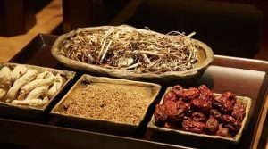 感受健康：养生知识让你的人生更加美好