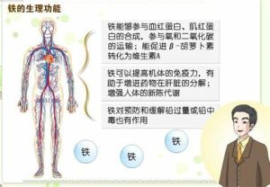 铁过载是什么？铁过载症：症状，原因，诊断和治疗