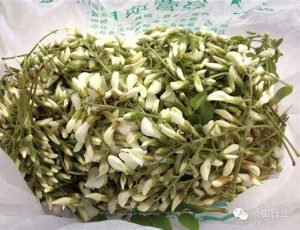 吃槐花，吃槐花有什么作用与功效