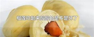 榴莲酸（榴莲酸酸的是坏了吗）