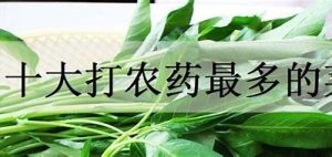 十大打农药最多的菜（十大打农药最多的菜西兰花）
