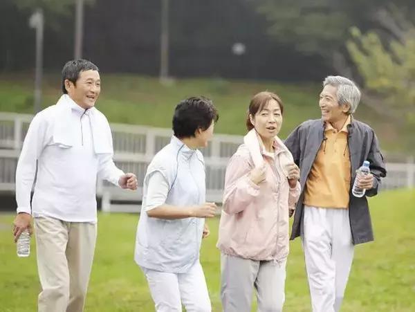 合理膳食搭配，打造健康体魄 