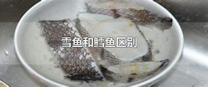 雪鱼和鳕鱼区别（鳕鱼）