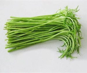 藜蒿的功效与作用（藜蒿的功效与作用图片）