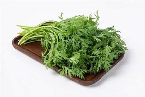 藜蒿的功效与作用