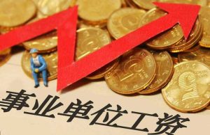 公益一类和公益二类的区别（公益一类和公益二类的区别工资）
