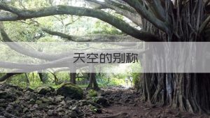 天空的别称（天空的别称雅号）