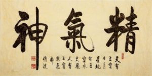 改写常识的支配之笔小说(改写常识的支配之笔小说h)