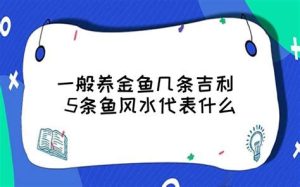 5条鱼风水代表什么（5条鱼风水代表什么意思）