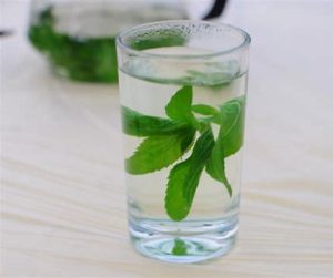 薄荷叶怎么泡水（薄荷叶怎么泡水要热水还是温水）