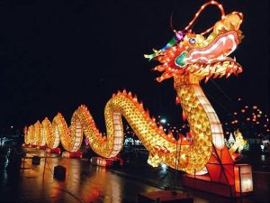 什么命的人可以纹龙（什么命的人可以纹龙姬）