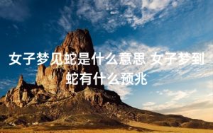 梦到一条蛇是什么征兆女性（做梦梦到一条蛇是什么征兆女性）