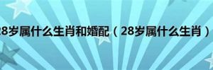 28岁属啥的2022年(28岁属啥的2021年)
