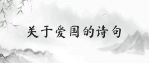 爱国古诗（爱国古诗词）