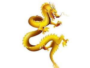2012年出生属龙几周岁了（2012年出生属龙几周岁了女孩）