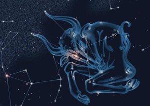 四月十九号是什么星座(农历四月十九号是什么星座)