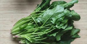 铁元素含量最高的十种蔬菜（铁元素含量最高的十种蔬菜是哪些）