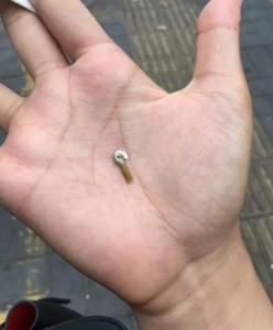 鸟屎掉手上有什么说法(鸟屎掉手上有什么说法吗)