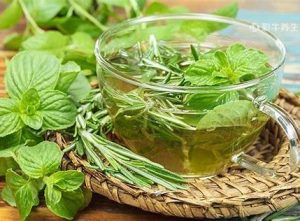 薄荷叶怎么泡水（薄荷叶怎么泡水要热水还是温水）