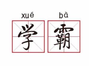 世界学霸排名榜