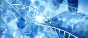 esi前1%学科是什么水平