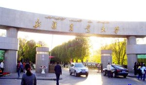 新疆农业大学的档次