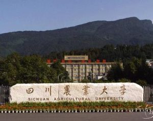 四川农业大学现设有学院多少个
