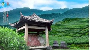 北苑贡茶