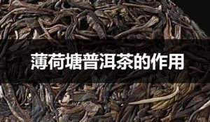 薄荷塘普洱茶特点简介
