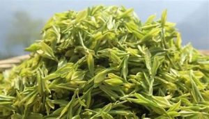 明前茶什么意思