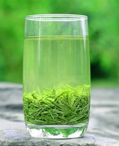 毛尖茶怎么泡
