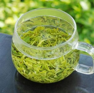 云雾茶属于什么茶