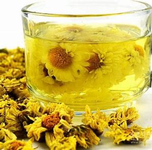 养生菊花茶的功效作用