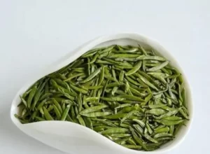 仙人掌茶属于什么茶，仙人掌茶有什么作用与功效