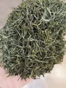 信阳毛尖属于什么档次的茶叶